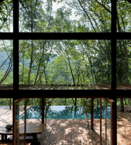 Modern cabin surrounded by lush greenery.